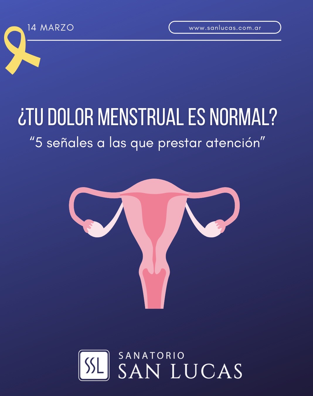 14 de Marzo: Día Mundial de la Endometriosis